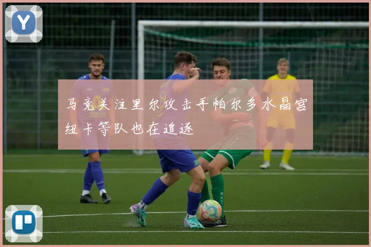 马竞关注里尔攻击手帕尔多水晶宫纽卡等队也在追逐