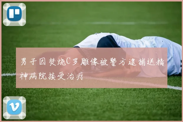 男子因焚烧C罗雕像被警方逮捕送精神病院接受治疗
